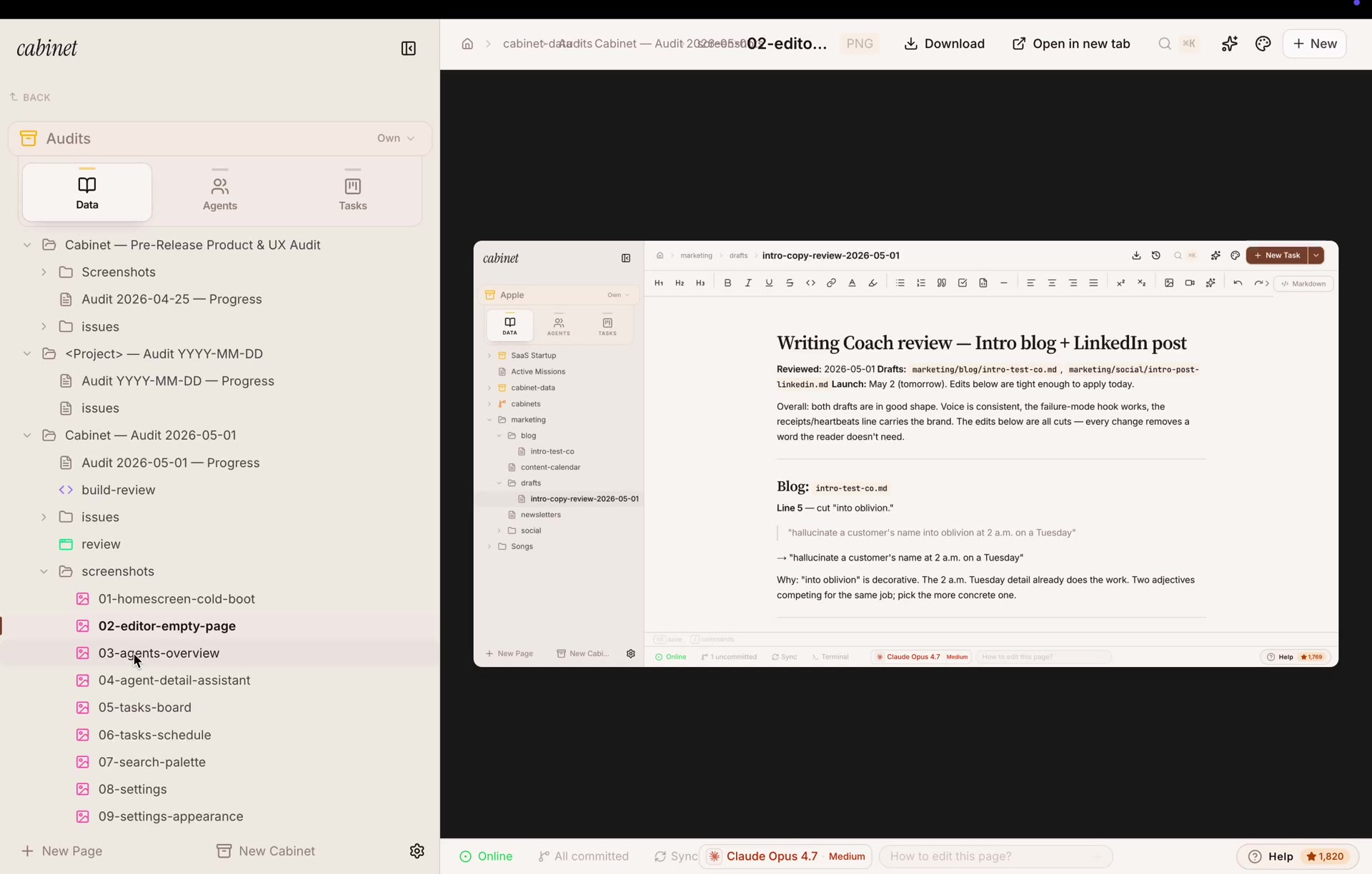 The audit's screenshots folder, with one numbered screenshot per screen