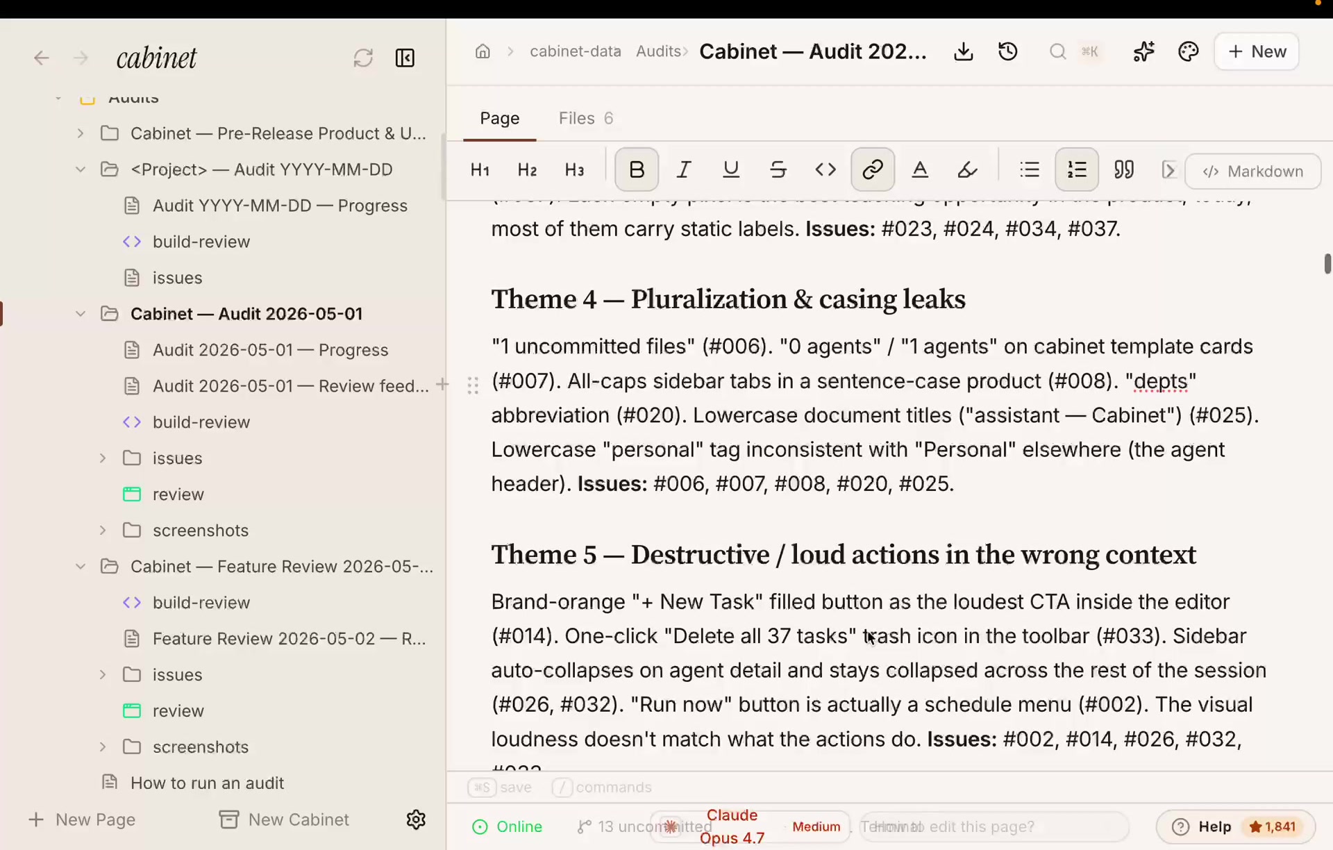 Audit report grouped into themes